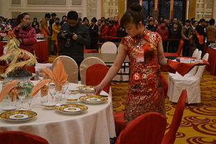 巢湖市餐饮服务业技能大赛圆满落幕，匠心技艺闪耀湖畔